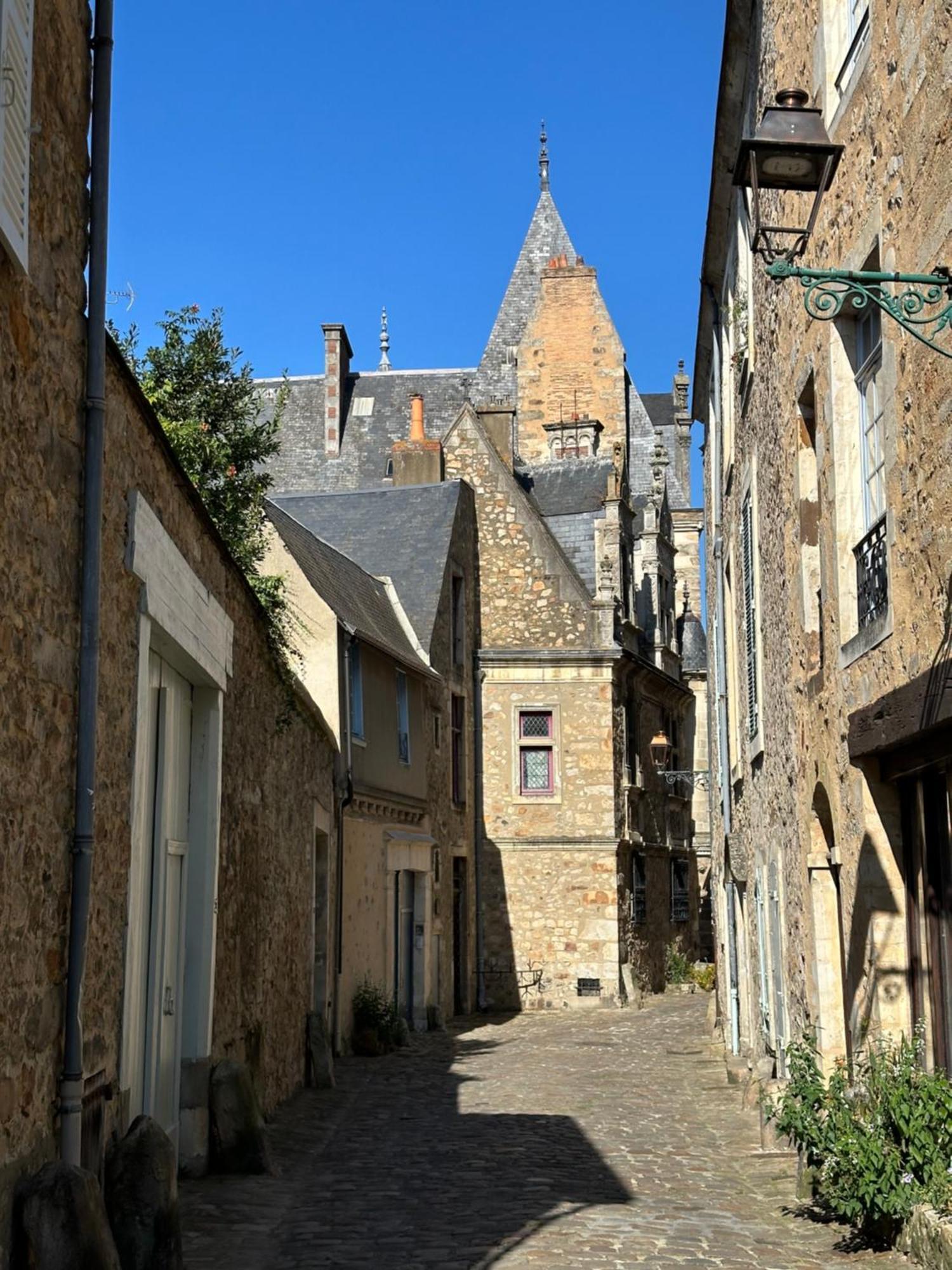 لو مان Logis Saint-Flaceau المظهر الخارجي الصورة